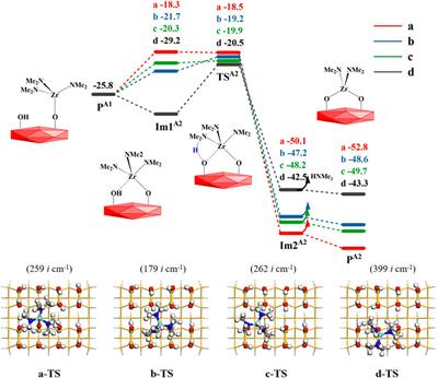 Reaction mechanism of atomic layer deposition of zirconium oxide using zirconium precursors bearing amino ligands and water